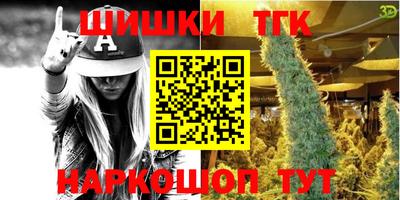 jwh Кингисепп