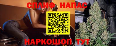 jwh Кингисепп