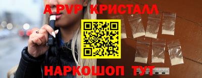 jwh Кингисепп
