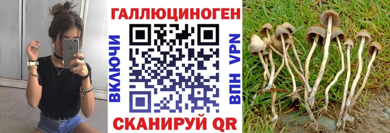 Галлюциногенные грибы Cubensis  Сургут 