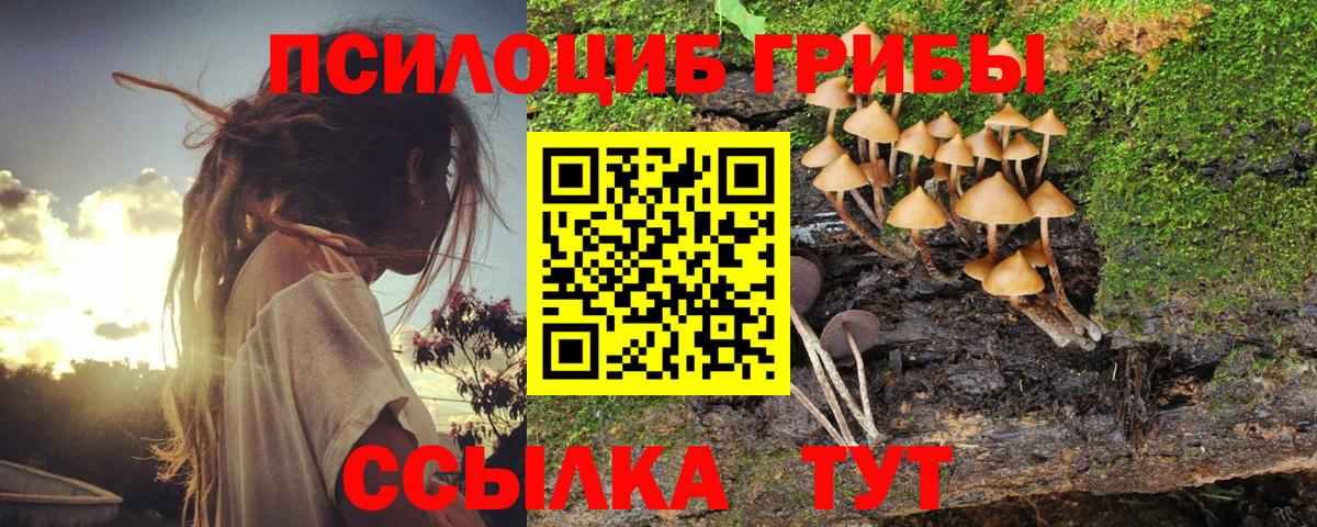 Псилоцибиновые грибы мицелий Сургут