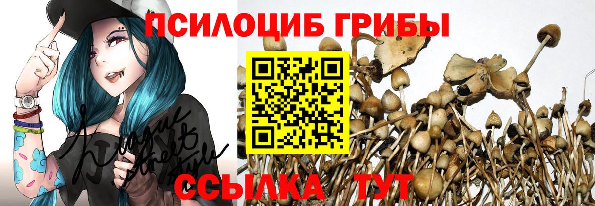 Псилоцибиновые грибы прущие грибы Сургут